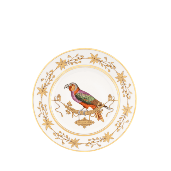 Обеденная тарелка 26.5 см., VOLIERE PERROQUET NESTOR от Ginori 1735, 004RG00 FPT110010265G00172800
