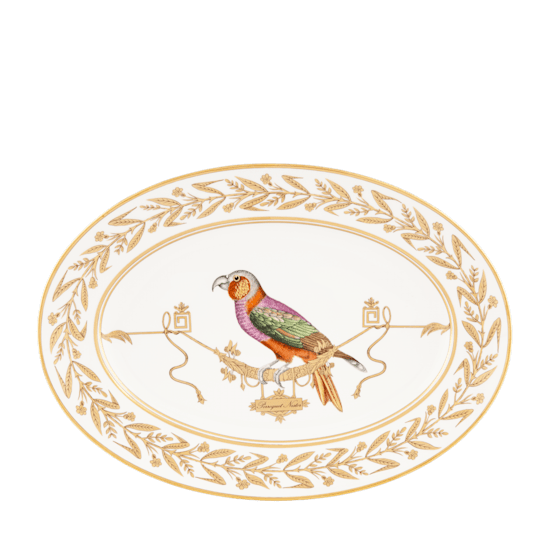 Овальное блюдо 40 см., VOLIERE от Ginori 1735, 004RG00 FVS130010400G00172400