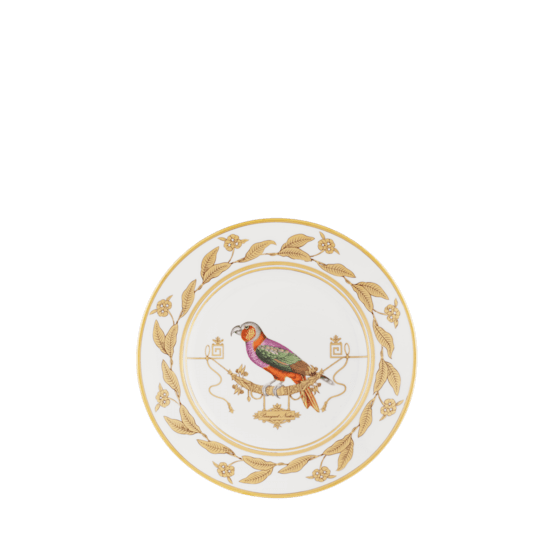 Десертная тарелка 22 см., VOLIERE PERROQUET NESTOR от Ginori 1735, 004RG00 FPT110010220G00172800