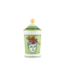 Шкатулка Oggetti В6х8 см., DIVA VERDE от Ginori 1735, 017RG00 FCO400LX0080G00134900